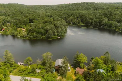 212 Trout Brook Road, Roscoe, NY 12776 - Photo 25