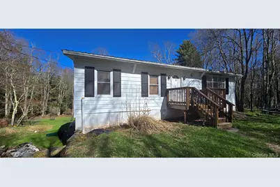 42 Back Shandelee Road, Livingston Manor, NY 12758 - Photo 3