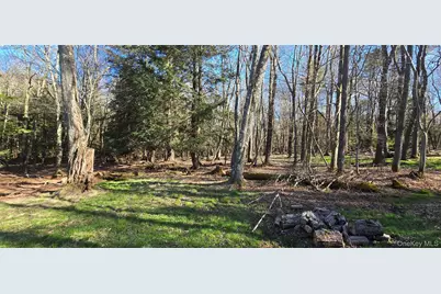 42 Back Shandelee Road, Livingston Manor, NY 12758 - Photo 19