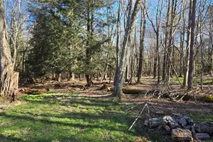42 Back Shandelee Rd, Livingston Manor, NY 12758 - Photo 19