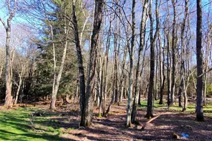42 Back Shandelee Rd, Livingston Manor, NY 12758 - Photo 17