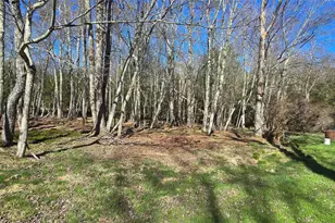 42 Back Shandelee Rd, Livingston Manor, NY 12758 - Photo 21