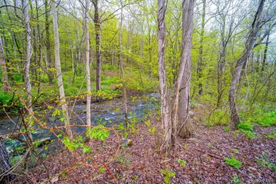 287 Hunns Lake Road, Stanford, NY 12581 - Photo 33