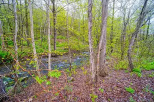 287 Hunns Lake Rd, Stanford, NY 12581 - Photo 33