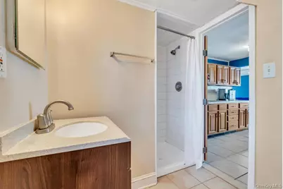 306 Jackson Avenue, Syosset, NY 11791 - Photo 19