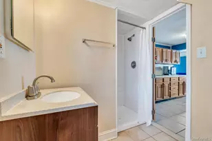 306 Jackson Ave, Syosset, NY 11791 - Photo 19