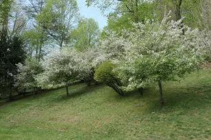 77 Central Dr, Briarcliff Manor, NY 10510 - Photo 41