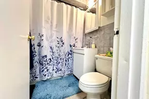 222-89 Braddock Ave, Bellerose, NY 11428 - Photo 19