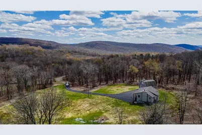 1029 Spring Brook Estates Road, Roscoe, NY 12776 - Photo 3
