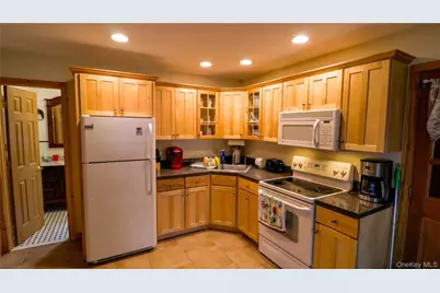 1029 Spring Brook Estates Road, Roscoe, NY 12776 - Photo 11