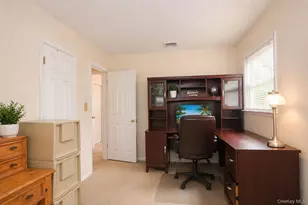 46 Graney Ct, Pearl River, NY 10965 - Photo 21