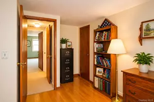 46 Graney Ct, Pearl River, NY 10965 - Photo 25