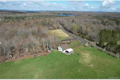 48 Mullen Road, Parksville, NY 12768 - Photo 5
