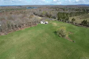 48 Mullen Rd, Parksville, NY 12768 - Photo 31