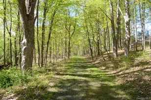 4317 NY-23, Hudson, NY 12534 - Photo 45