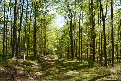 4317 Ny 23, Hudson, NY 12534 - Photo 47
