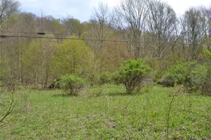 756 County Hwy 21, Walton, NY 13856 - Photo 29