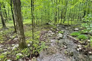 894 Upper Mountain Rd, Pine Bush, NY 12566 - Photo 35