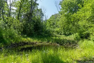 508 Woodstock Rd, Millbrook, NY 12545 - Photo 39