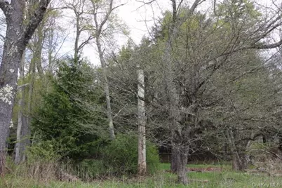 440 Debruce Road, Livingston Manor, NY 12758 - Photo 19