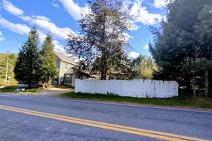 983 Plank Rd, Forestburgh, NY 12777 - Photo 23