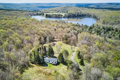453 Little Ireland Road, Livingston Manor, NY 12758 - Photo 37