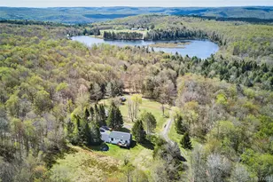 453 Little Ireland Rd, Livingston Manor, NY 12758 - Photo 37