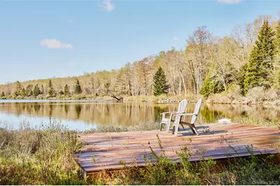 453 Little Ireland Road, Livingston Manor, NY 12758 - Photo 33