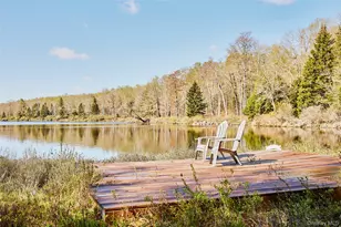 453 Little Ireland Rd, Livingston Manor, NY 12758 - Photo 33