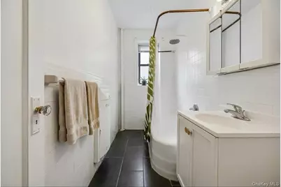 50-05 43rd Avenue #1M, Woodside, NY 11377 - Photo 9