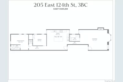 205-7 East 124 Street #3BC, New York, NY 10035 - Photo 11