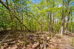 13 Hermanette Ave, Middletown, NY 10940 - Photo 29
