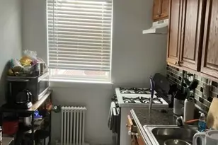 261-72 Langstone Ave Ave, Glen Oaks, NY 11004 - Photo 11