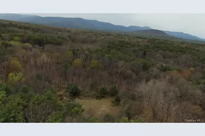 11 Forest View Drive, Catskill, NY 12414 - Photo 11