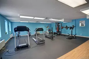 175 Maple Ave, Westbury, NY 11590 - Photo 23