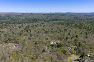 88 W Peenpack Trail, Sparrow Bush, NY 12780 - Photo 49