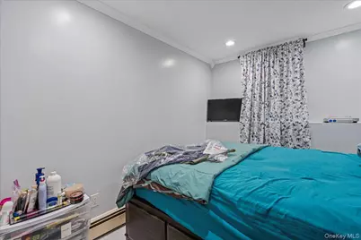 320 Marion Street, Brooklyn, NY 11233 - Photo 19