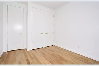 1 Hopal Lane #203, Monsey, NY 10952 - Photo 33