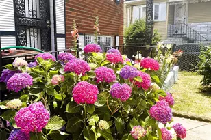 155-76 115th Rd, Jamaica, NY 11434 - Photo 3