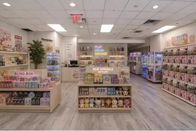 132-03 Sanford Avenue #1A, Flushing, NY 11355 - Photo 19