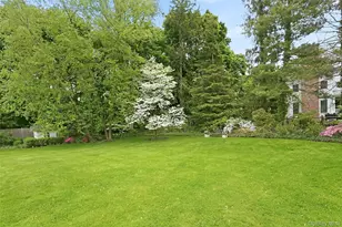 164 Julian St, Rye, NY 10580 - Photo 33