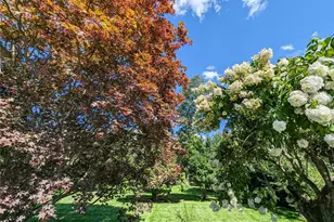 124 Lincoln Ave, Purchase, NY 10577 - Photo 9