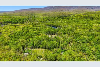 51 Redder Road, Pine Bush, NY 12566 - Photo 29