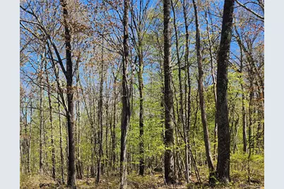 Lot 34 Lenni Lenape Road, Cochecton Center, NY 12726 - Photo 7