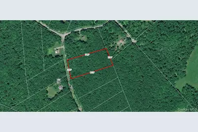 Lot 34 Lenni Lenape Road, Cochecton Center, NY 12726 - Photo 3