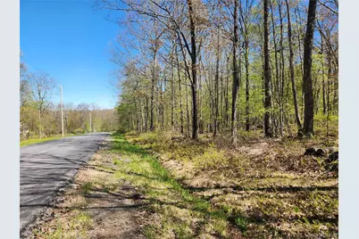 Lot 34 Lenni Lenape Road, Cochecton Center, NY 12726 - Photo 1