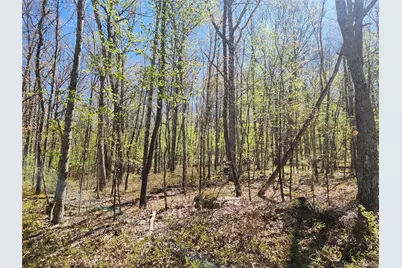 Lot 34 Lenni Lenape Road, Cochecton Center, NY 12726 - Photo 5