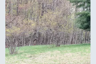 Muthig Road, Fallsburg, NY 12733 - Photo 15