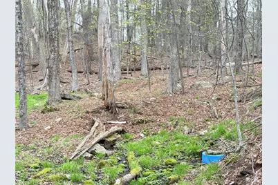 Muthig Road, Fallsburg, NY 12733 - Photo 5