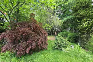 25 Delaware St, Port Jervis, NY 12771 - Photo 9